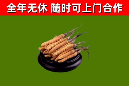 留坝县烟酒回收冬虫夏草.jpg